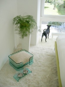 Wow Bow modern dog bed